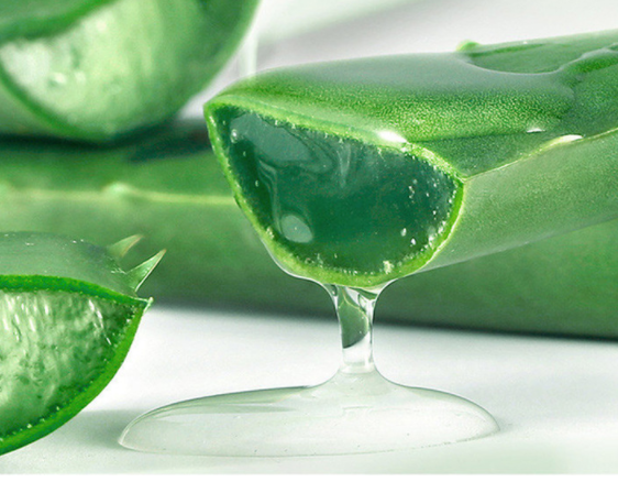 Ox Horn Aloe Gel Soothing and Moisturizing Face Gel