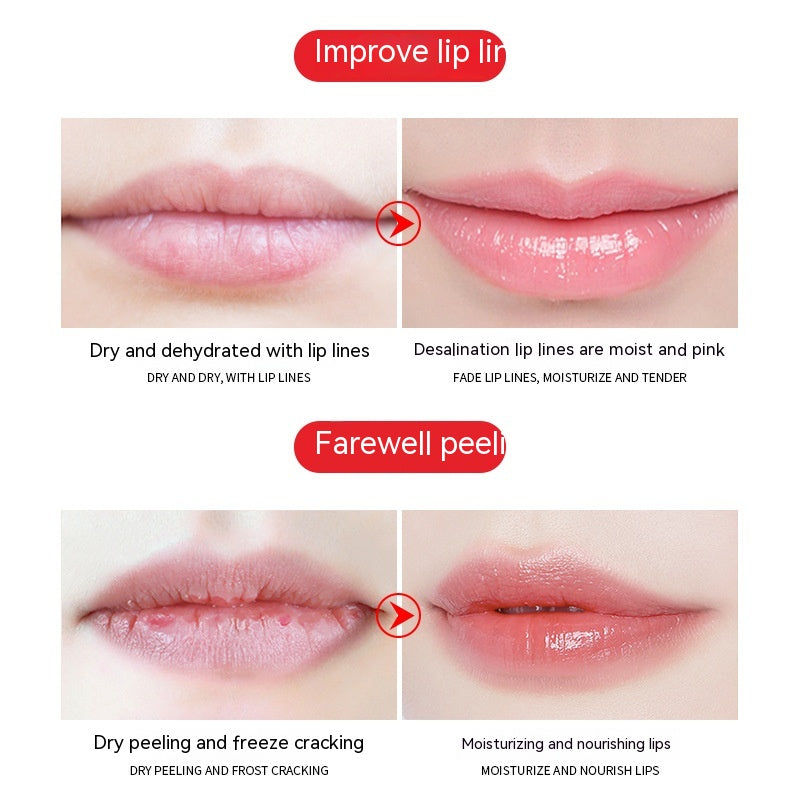 Nancy Ajram Avocado Lip Mask -Moisturizing
