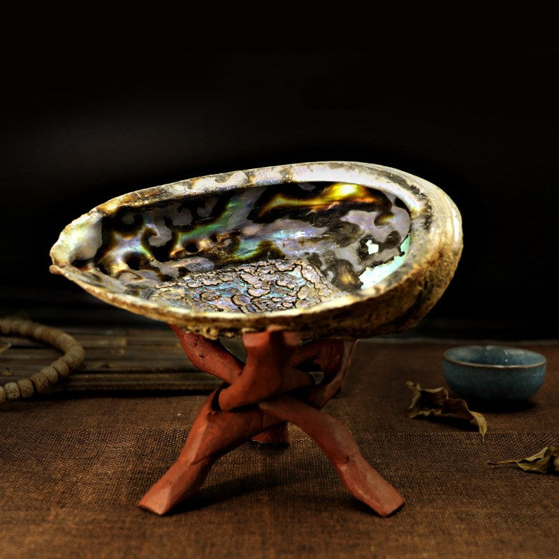 Elegant Abalone Shell & Wooden Stand for Home Décor & Meditation