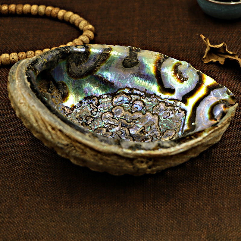 White Sage Smoked Accessories Shell & Holy Wood Bracket