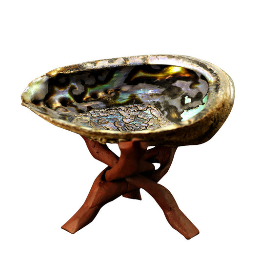Elegant Abalone Shell & Wooden Stand for Home Décor & Meditation