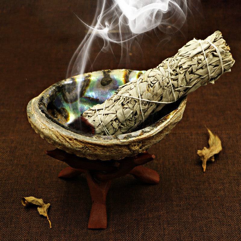 White Sage Smoked Accessories Shell & Holy Wood Bracket
