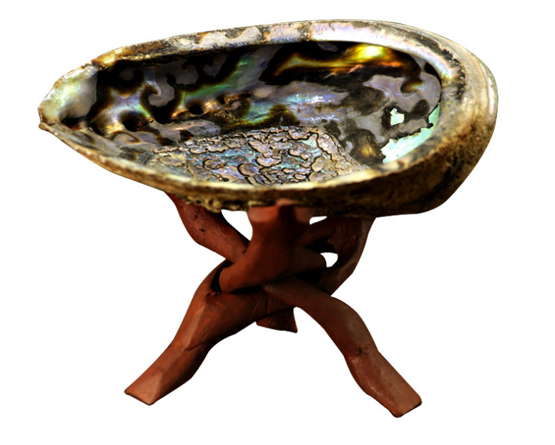 White Sage Smoked Accessories Shell & Holy Wood Bracket
