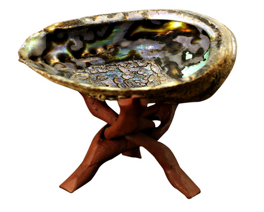 White Sage Smoked Accessories Shell & Holy Wood Bracket